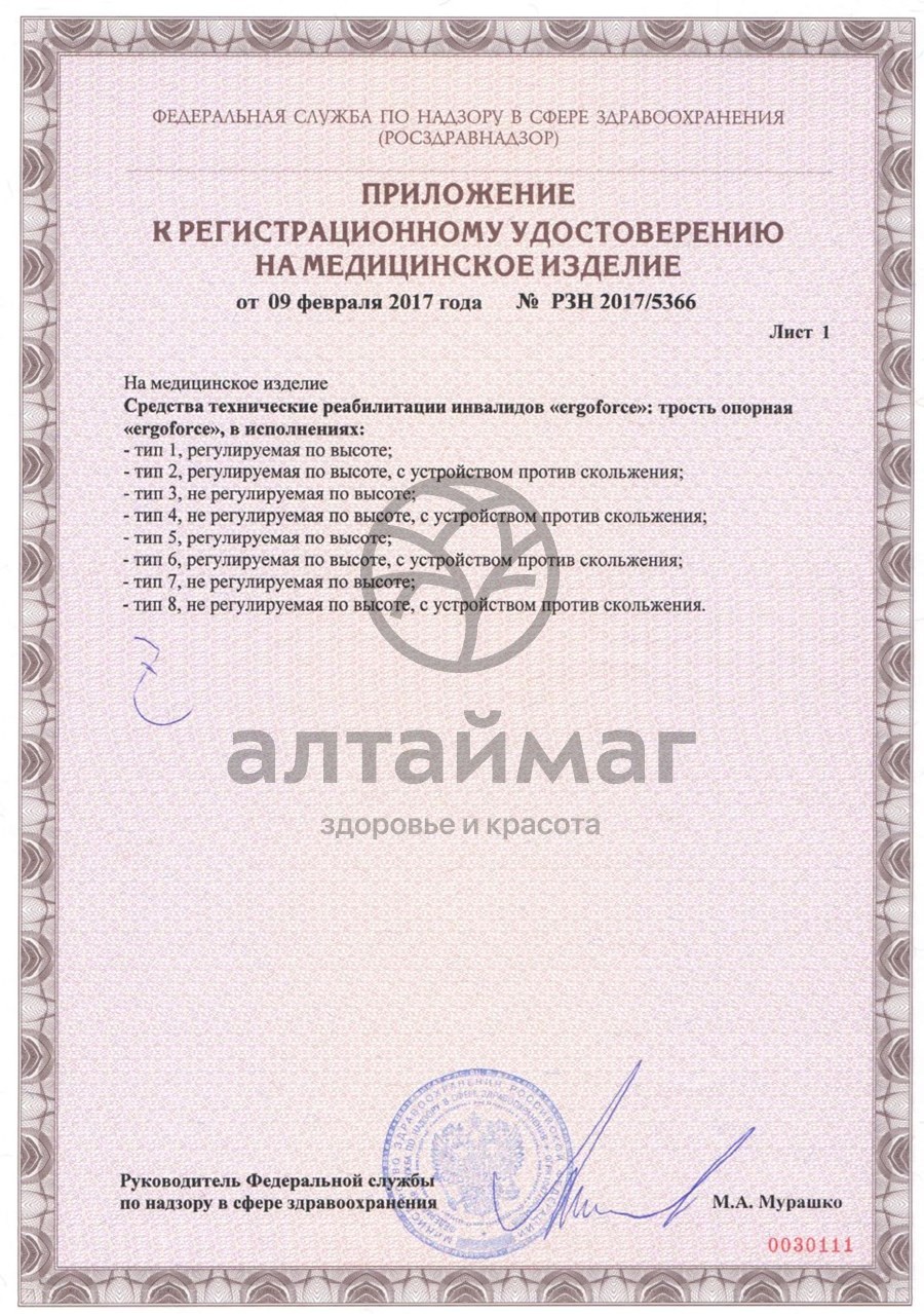 Сертификат на товар Трость E 0601 складная, цвет черный Трость E 0601 складная, цвет черный сертификат